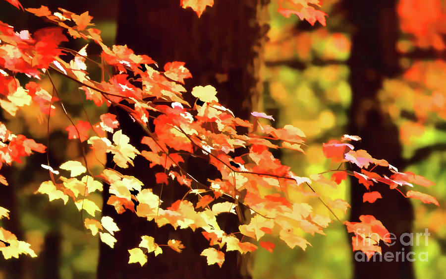 Painted Autumn Leaves Digital Art by D Hackett