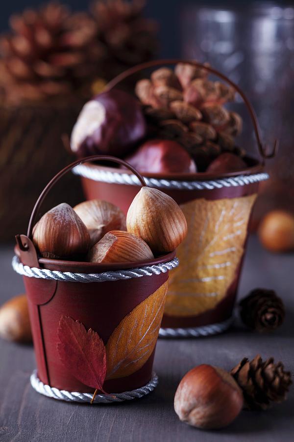 Painted Autumn Leaves Stuck On Small Decorative Buckets Of Hazelnuts, Horse Chestnuts And Pine Cones Photograph by Franziska Taube