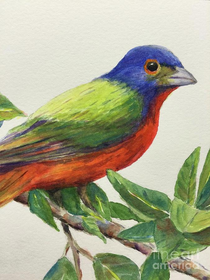Painted Bunting Painting by Marsha Young