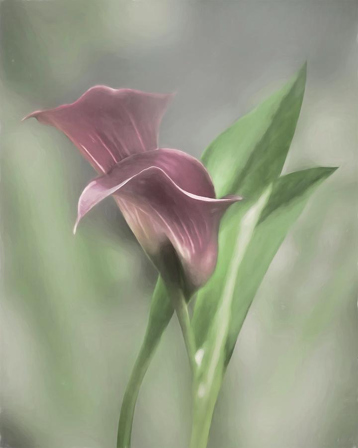 Painted Calla Lily Mixed Media by Lori Deiter