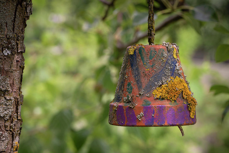 Painted Clay Pot As Earwig House Overgrown With Lichen Photograph by Ira Hilger