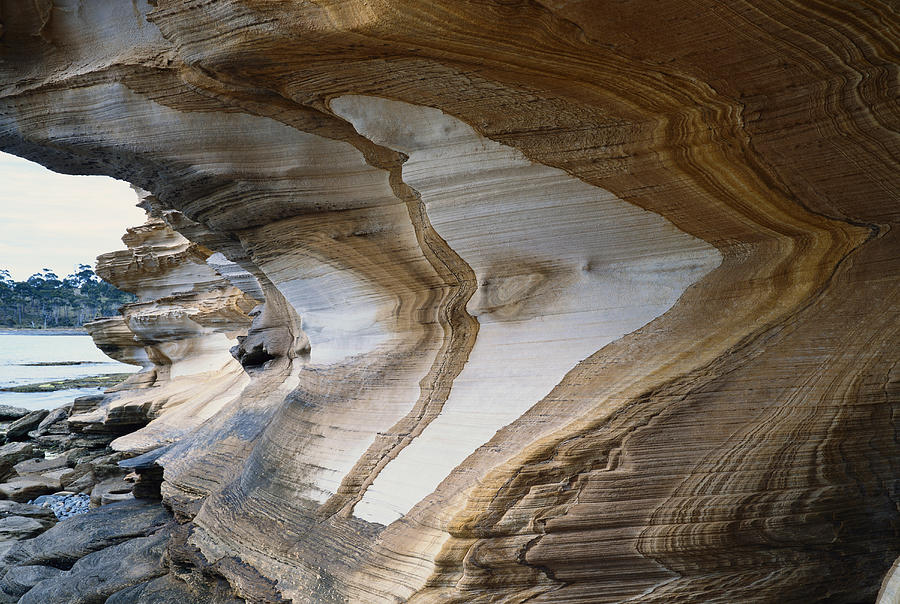 Painted Cliffs, Maria Island, Tasmania Photograph by David Hosking