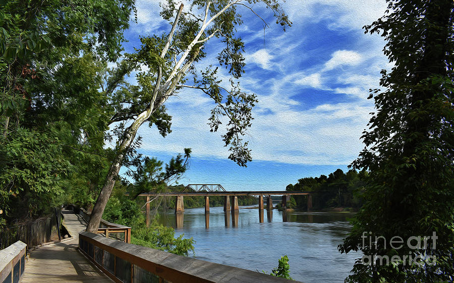 Painted Congaree Riverwalk Photograph by Skip Willits