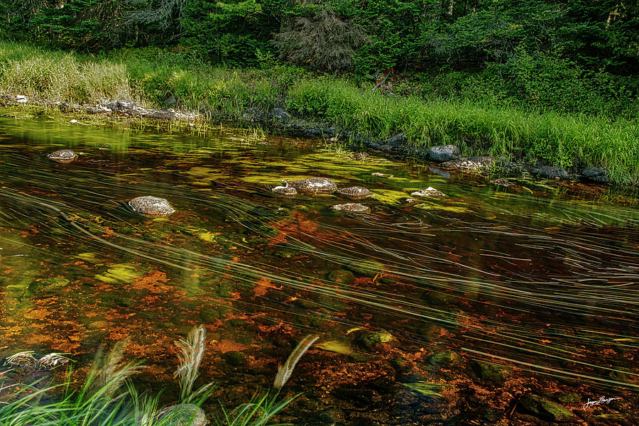 Painted Creek Photograph by Jurgen Lorenzen