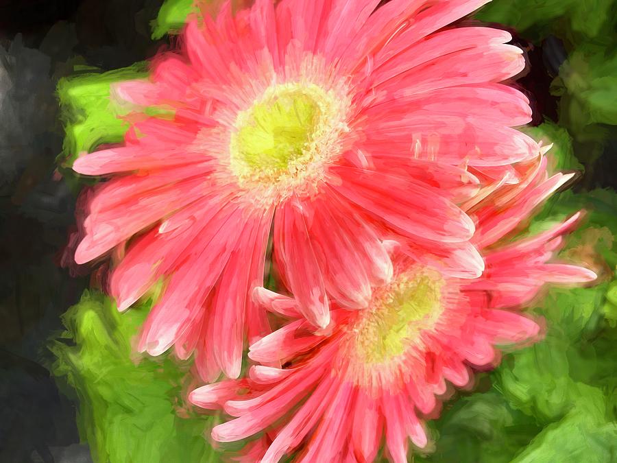 Painted Daisies Photograph