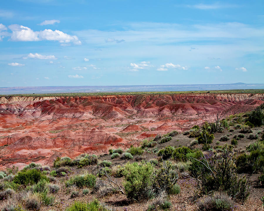 Painted Desert 8599 Photograph by James Hoolsema - Fine Art America