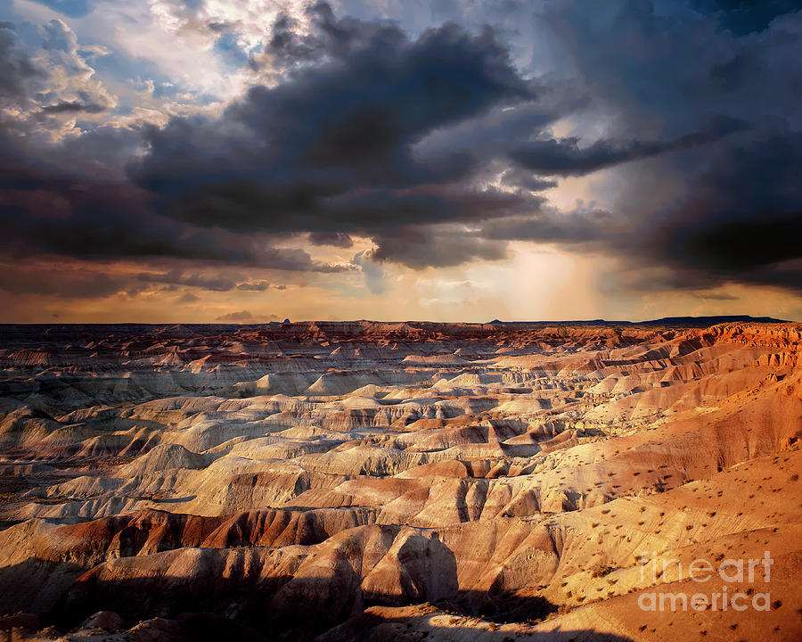 Painted Desert Photograph by Edmund Nagele FRPS