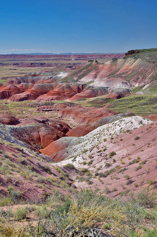 Painted Desert National Park Photograph by Images Of David Costa