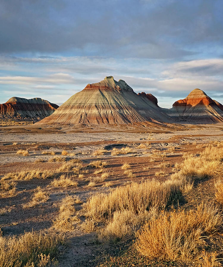 Evening at Painted Desert Photograph by Theo OConnor