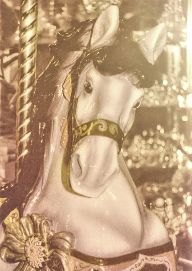 Painted Photograph by Dressage Design