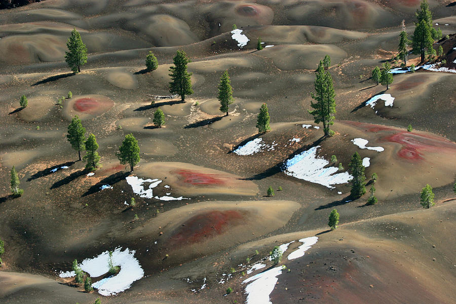 Painted Dunes Photograph by Photo ©tan Yilmaz