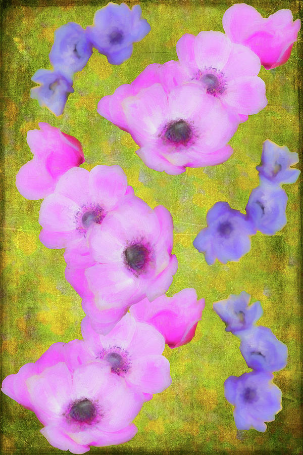 Painted Flowers FX Digital Art by Dan Carmichael