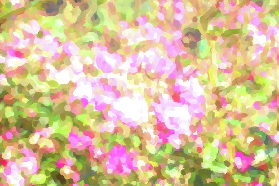 Painted Garden Flowers  Digital Art by Cathy Anderson