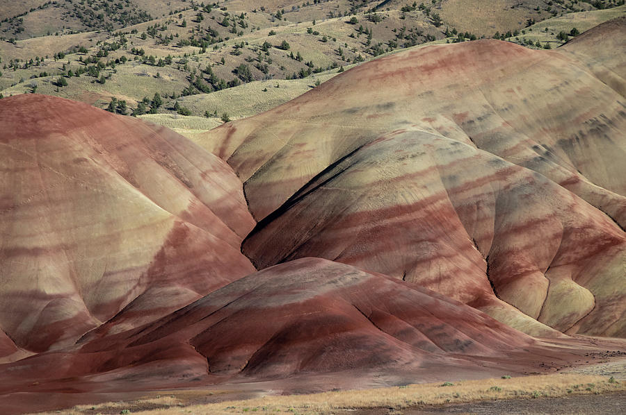 Painted High Desert Photograph by Steven Clark