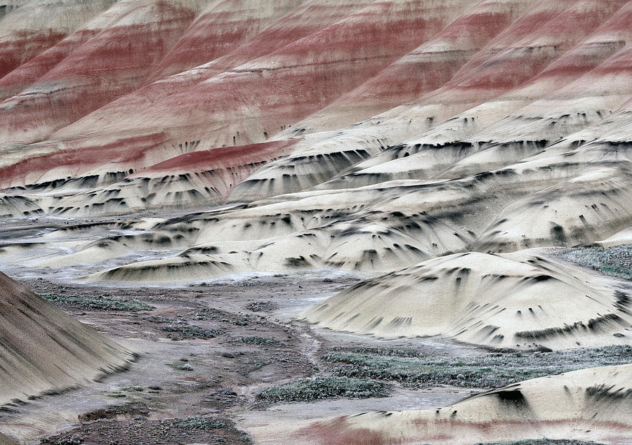 Painted Hills 2B Photograph by Leland D Howard