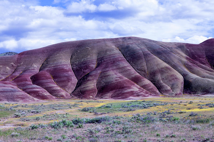 Painted Hills 5 Photograph by Rick Pisio