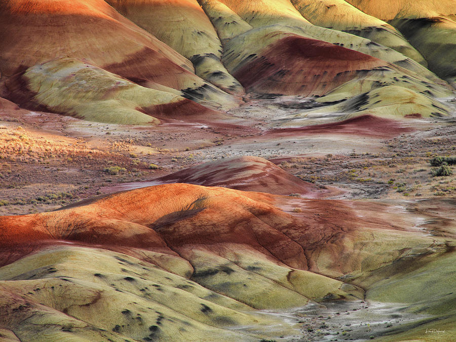 Nature Photograph - Painted Hills Color and Texture by Leland D Howard