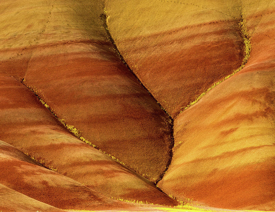 Painted Hills Creases Photograph by Jean Noren