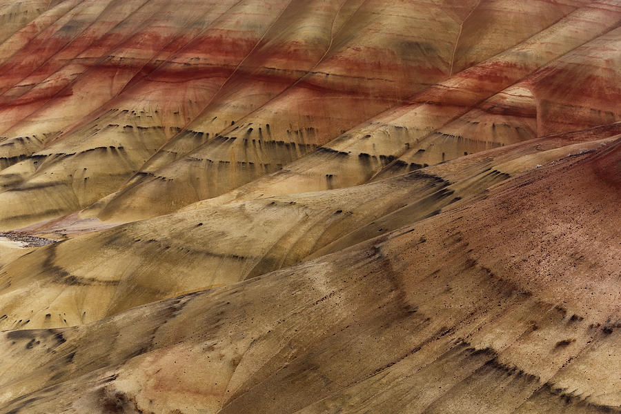 Painted Hills Photograph by Don Smith