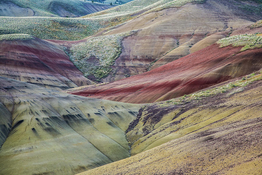 Painted Hills In Greens And Rust Photograph by Michael Rainwater