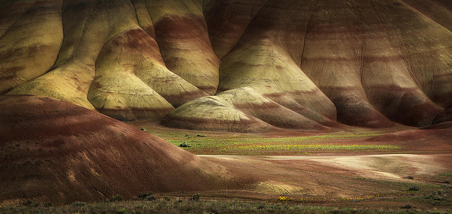 Painted Hills In Spring Photograph by Shenshen Dou