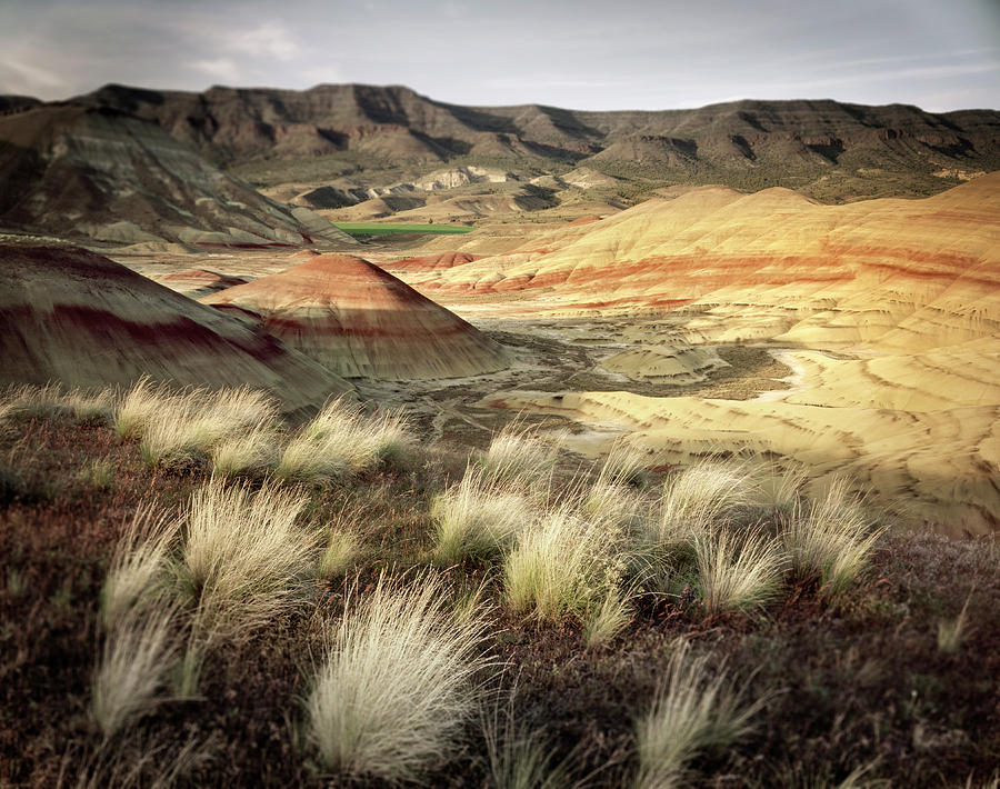 Painted Hills John Day Fossil Beds Photograph by Alan Majchrowicz