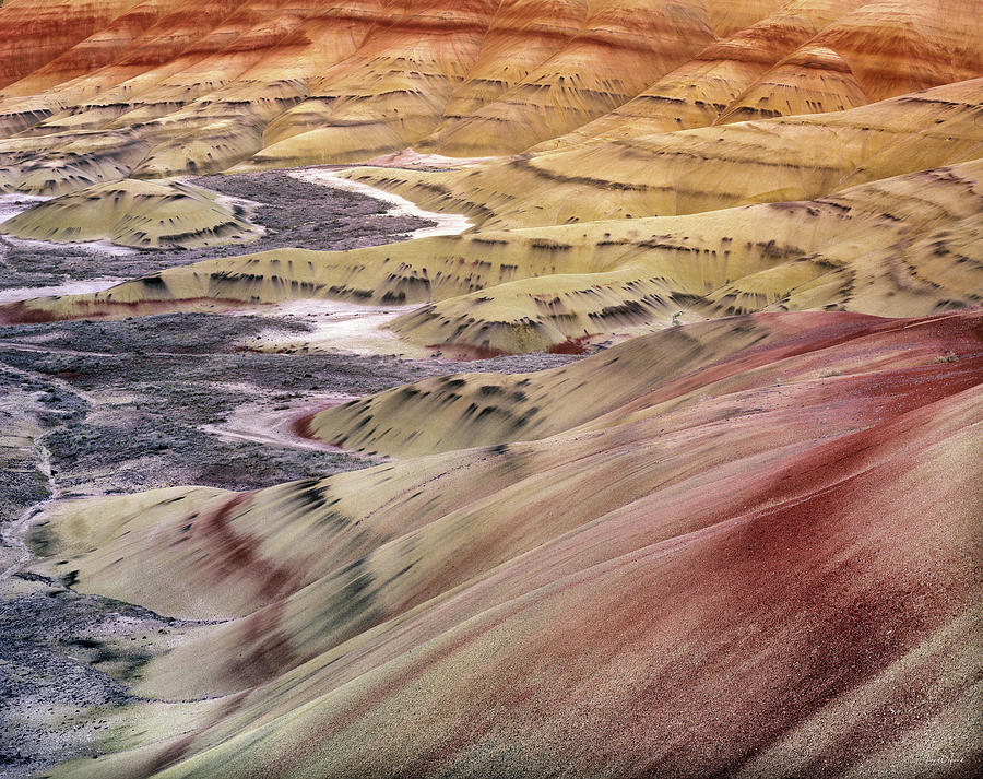 Nature Photograph - Painted Hills by Leland D Howard