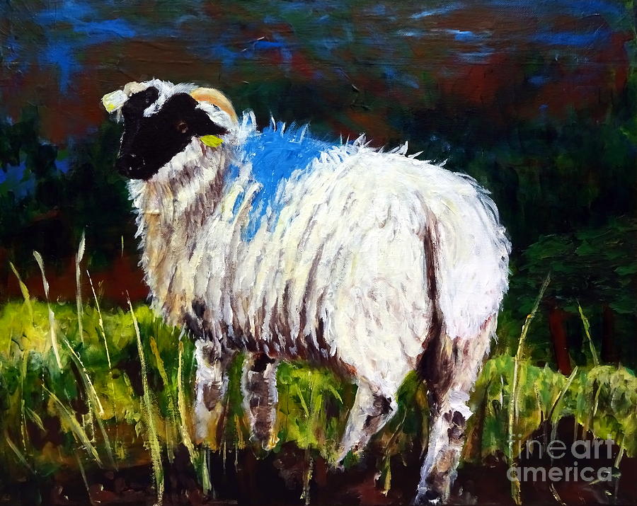 Painted Irish Sheep Painting by Brigitta Richter Fine Art America