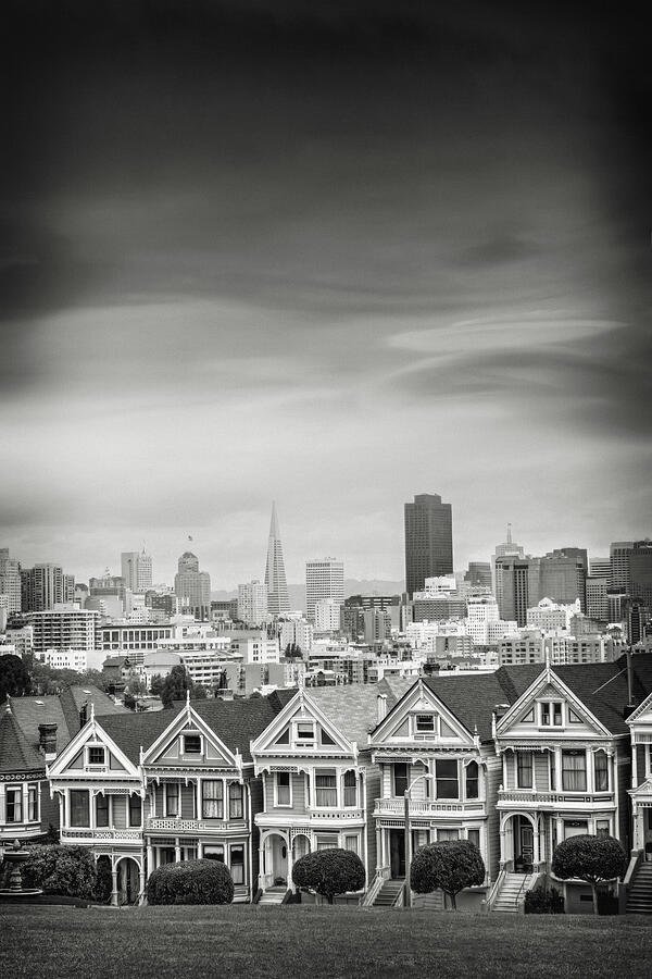 San Francisco Photograph - Painted Ladies Alamo Square San Francisco Black and White  by Carol Japp