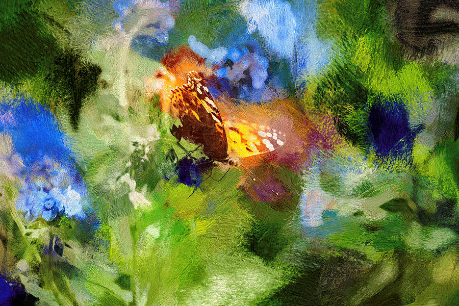 Painted Lady Butterfly Abstract Art Photograph by Don Northup