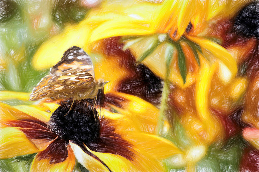 Painted Lady Butterfly Abstraction Photograph by Don Northup