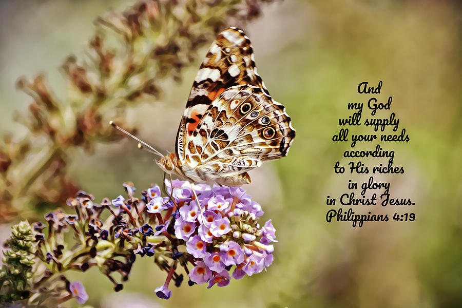 Painted Lady Butterfly And Scripture Digital Art