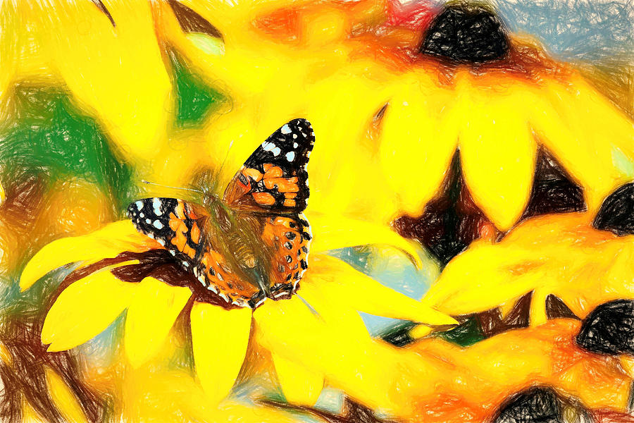 Painted Lady Butterfly Colorful Pencil Photograph by Don Northup
