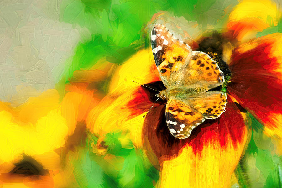 Painted Lady Butterfly Impasto Photograph by Don Northup