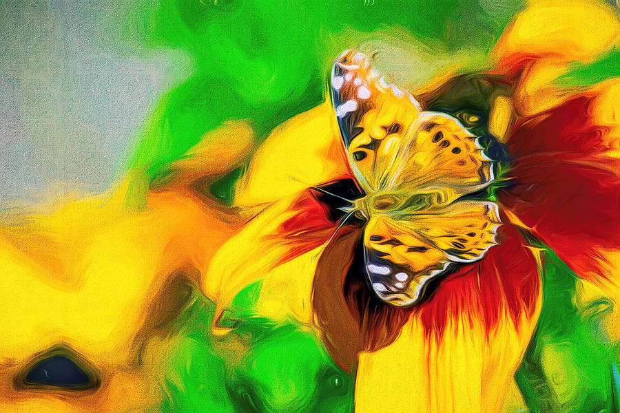 Painted Lady Butterfly Swirly Art Photograph by Don Northup