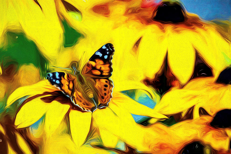 Painted Lady Butterfly Swirly Photograph by Don Northup