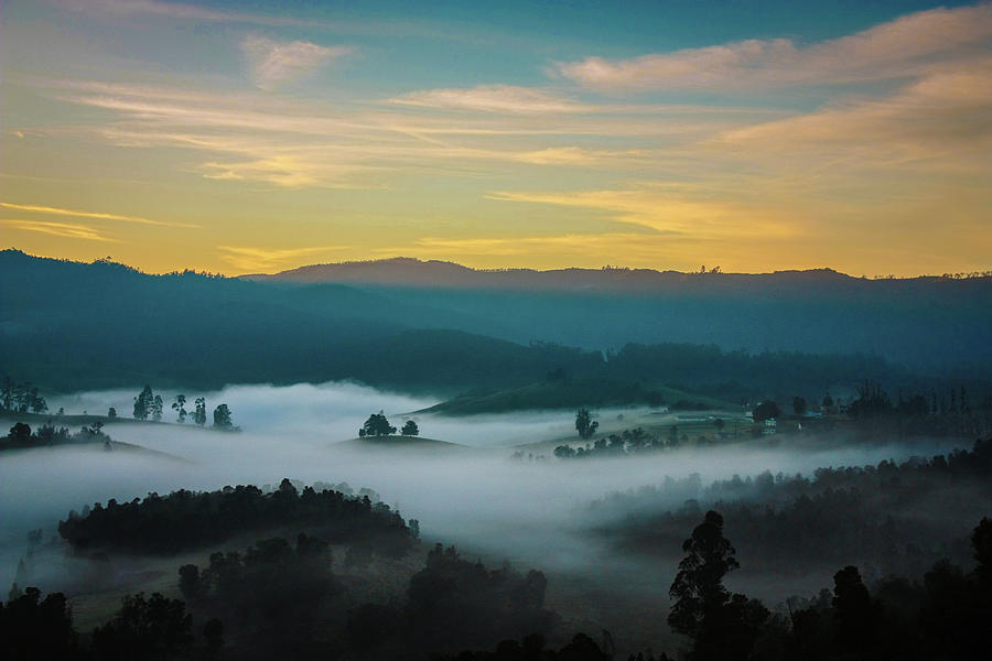 Painted Landscape Of Nilgiris Photograph by Lsprasath Photography