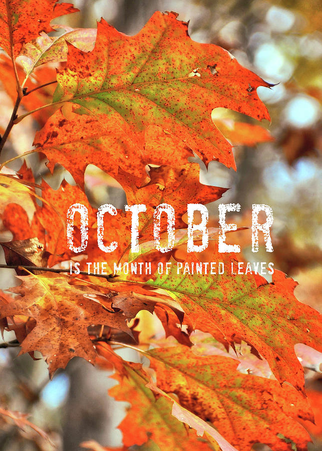 PAINTED LEAVES quote Photograph by JAMART Photography
