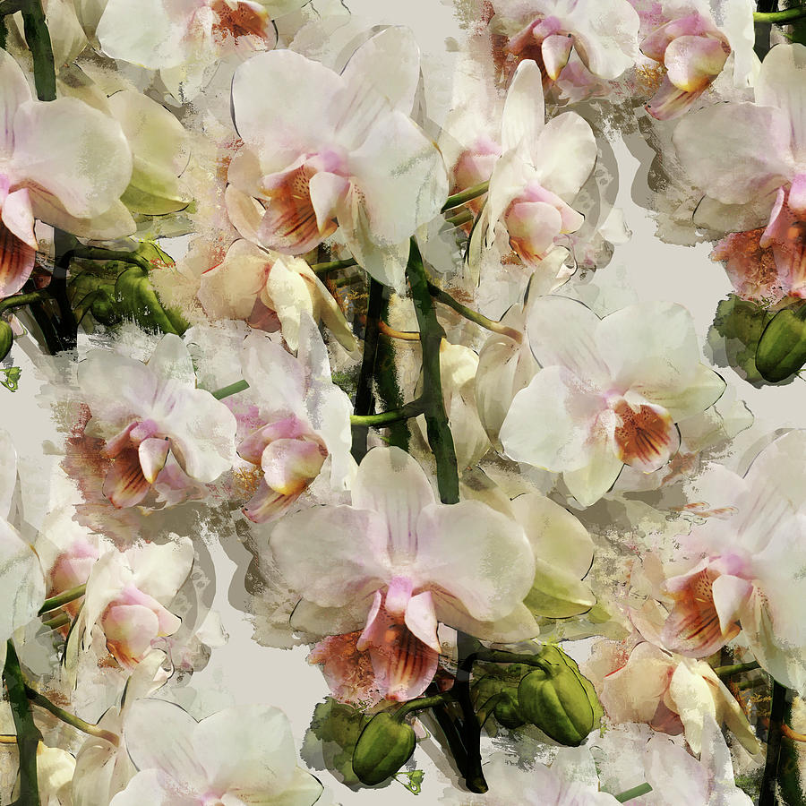 Painted Orchids Mixed Media by BFA Prints