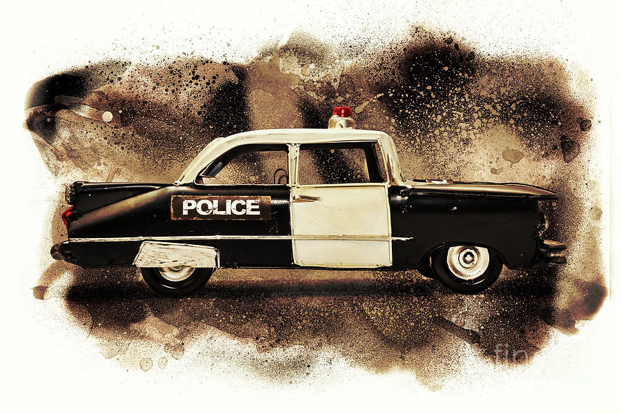 Painted Patrol Photograph
