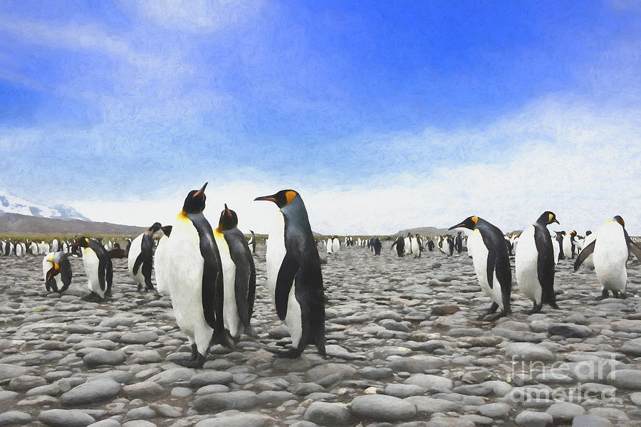 Painted Penguins Photograph by Patti Schulze