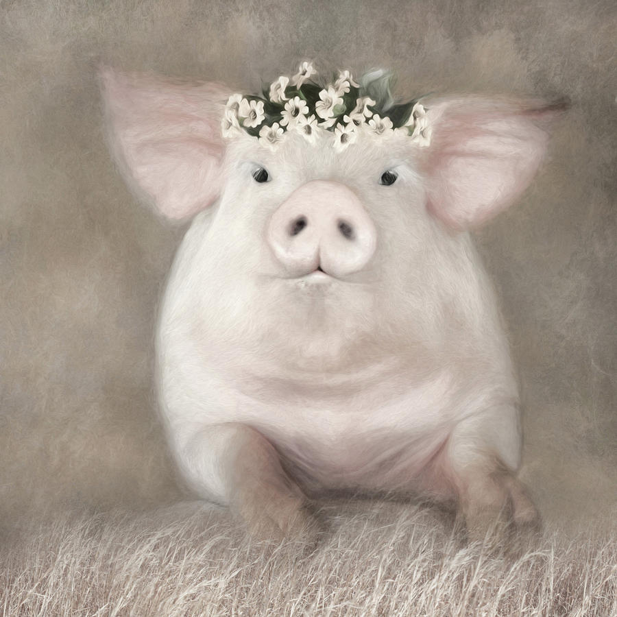 Painted Piggy Mixed Media by Lori Deiter