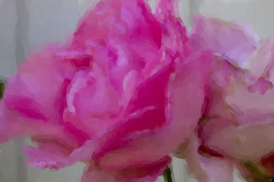 Painted Pink Roses  Digital Art by Cathy Anderson