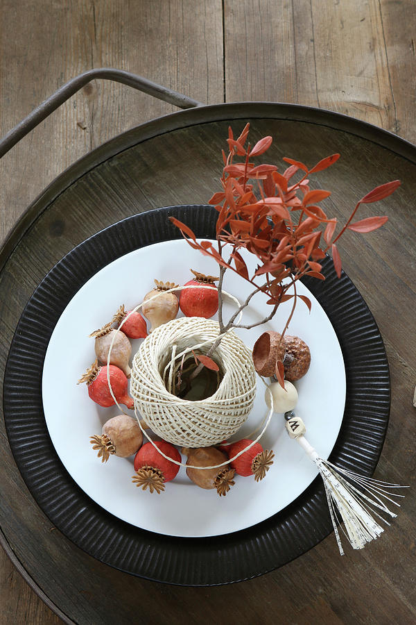 Painted Poppy Seed Heads And Ball Of Twine Used As Vase For Leafy Twig Photograph by Regina Hippel