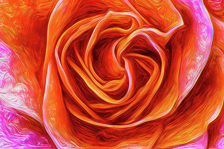 Painted Rose by onyonet photo studios Painted Rose by onyonet photo studios