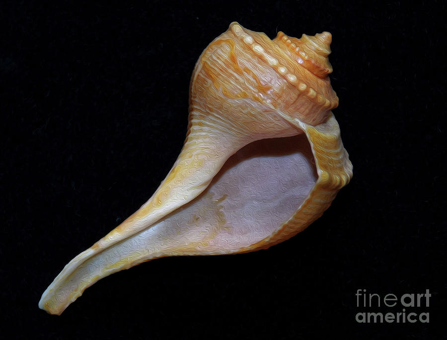 Painted Shell No. 2 Photograph by Skip Willits