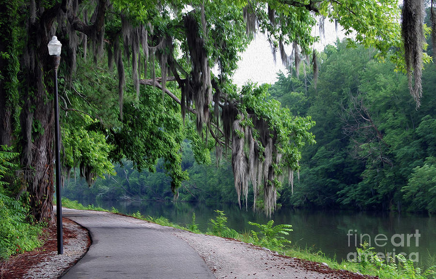 Painted Southern Riverwalk Photograph by Skip Willits