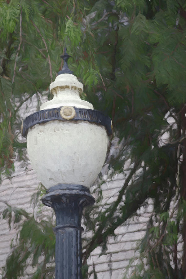 Painted Street Light  Photograph by Cathy Anderson