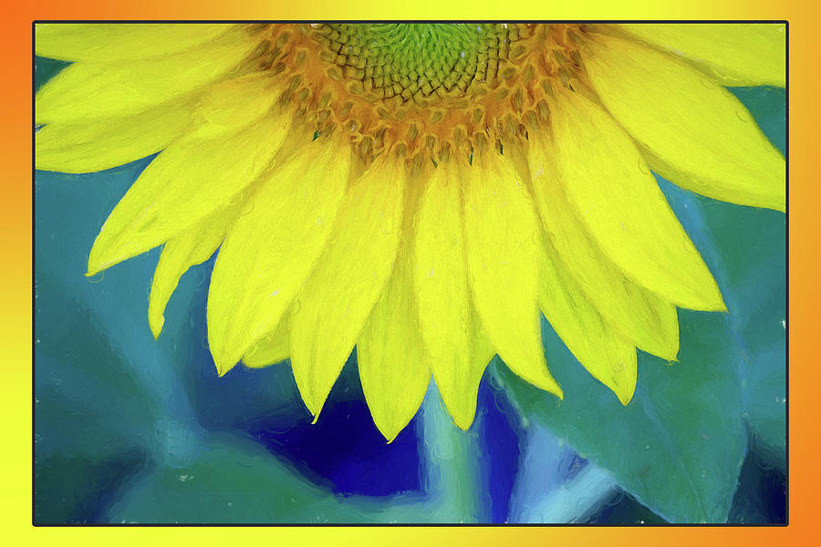 Painted Sunflower Photograph by Deborah Penland
