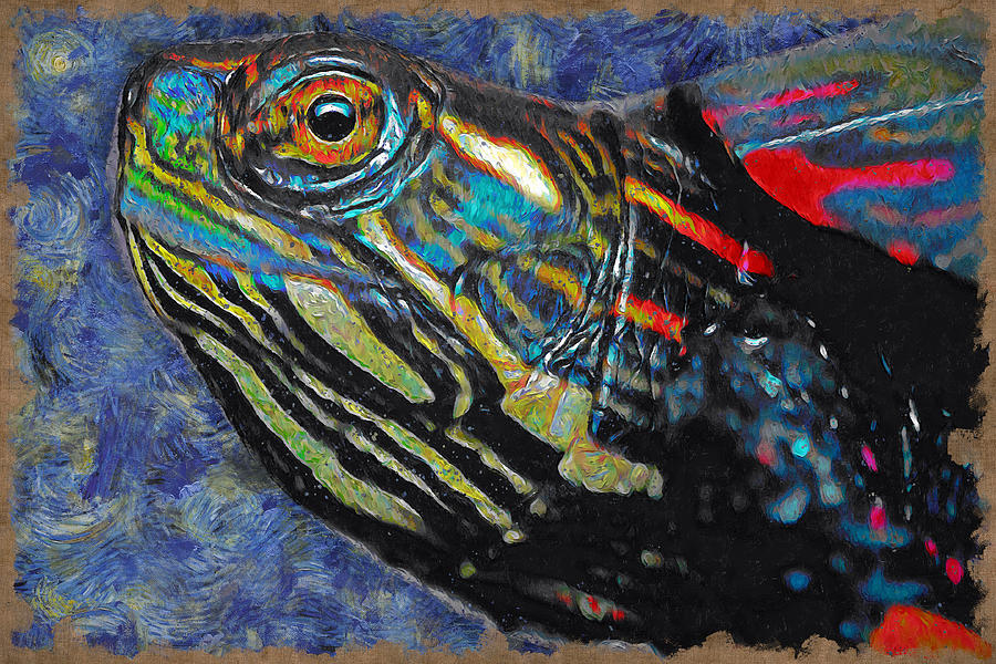 Painted Turtle Digital Art